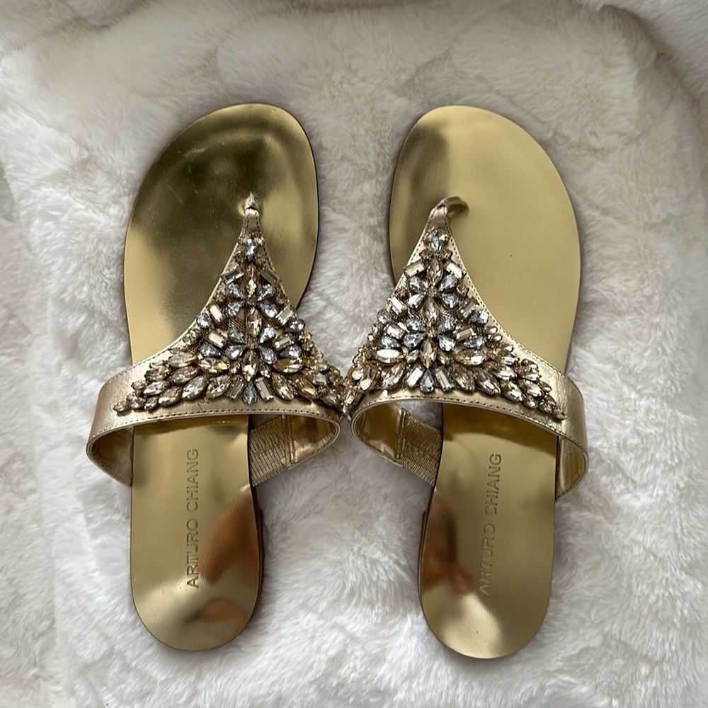 Arturo Chiang sandals